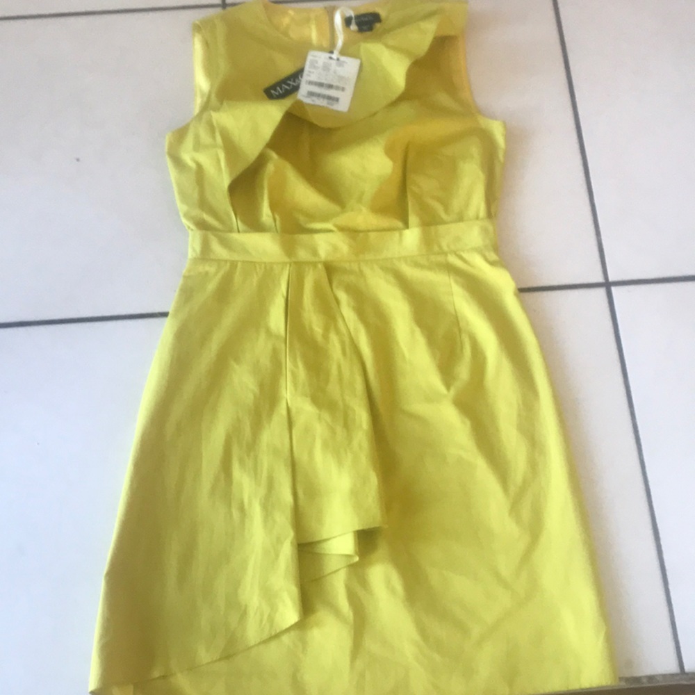 Max&Co Dress